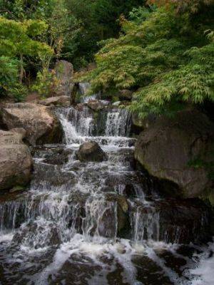 Japanese Gardens – Key Features - gardenerstips.co.uk - China - Japan - county Park