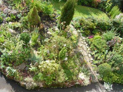 Welcome to Gardeners Tips Blog - gardenerstips.co.uk