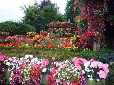 Garden Advice to a Daughter - gardenerstips.co.uk