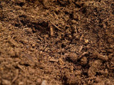 Five Soil Types - gardenerstips.co.uk
