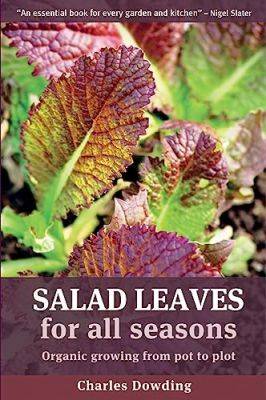 Sow Red Salad Seeds - gardenerstips.co.uk