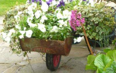 Reduce, Reuse, Recycle, Repurpose in the Garden - gardenerstips.co.uk - county Garden
