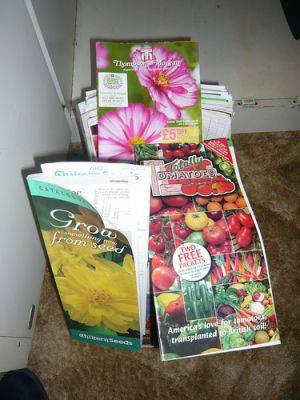 50 Best Seed Merchants and Catalogues - gardenerstips.co.uk