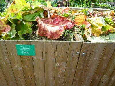 Mistakes Making Compost - gardenerstips.co.uk
