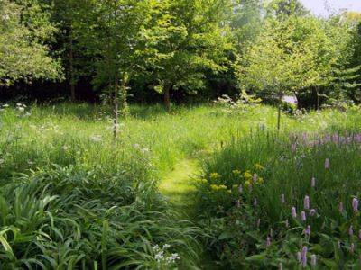 How To Encourage Wildlife into Your Garden - gardenerstips.co.uk