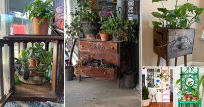 31 Ideas to Display Plants in New and Old Furniture - balconygardenweb.com