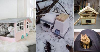 28 DIY Outdoor Cat House Ideas For Winters | DIY Feral Cat Shelters - balconygardenweb.com