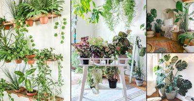 99 Great Ideas to Display Houseplants | Indoor Plants Decoration - balconygardenweb.com