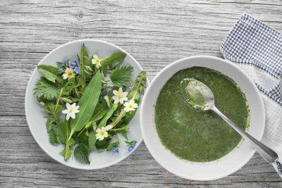 Please Eat the Dandelions: 16 Edible Garden Weeds - treehugger.com