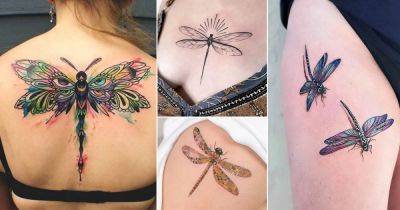50 Dragonfly Tattoo Meaning and Designs - balconygardenweb.com