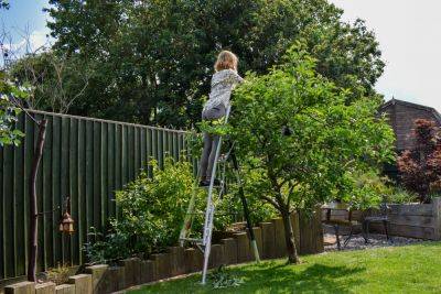 WIN a tripod ladder from Henchman worth £339 - theenglishgarden.co.uk - Britain