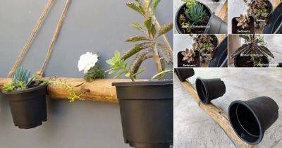 DIY Vertical Bamboo Planter to Grow Succulents - balconygardenweb.com - Poland