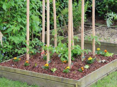 6 Ways To Save On A Small Garden - gardeningknowhow.com