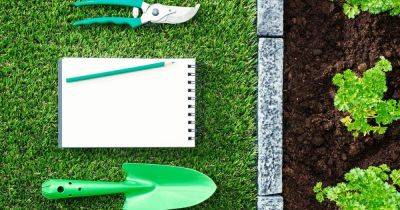 What have you learned from your summer garden? Write it all down - irishtimes.com
