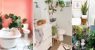 42 Ideas on Plants Around Toilet Seat in the Bathroom - balconygardenweb.com