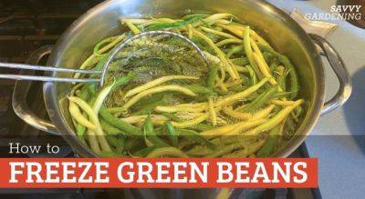 How to Freeze Green Beans from the Garden - savvygardening.com - state Kentucky