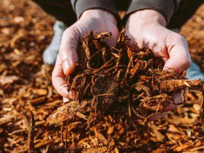 Can You Reuse Mulch? - gardeningknowhow.com