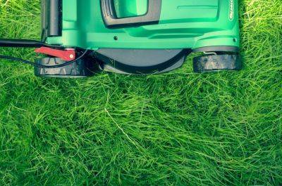 5 low-effort lawn maintenance tips you need to know - growingfamily.co.uk