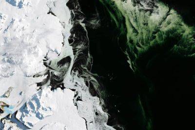 Turkey will take Antarctic algae to space - theunconventionalgardener.com - Turkey - Antarctica