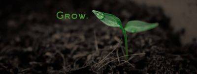 2023 Garden: Pepper Seeds - theunconventionalgardener.com