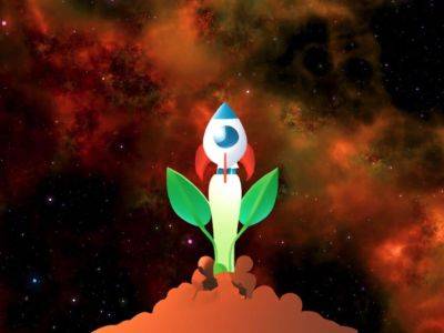 IAEA and FAO Send Seeds Into Space - theunconventionalgardener.com