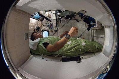 How do astronauts sleep in space? - theunconventionalgardener.com