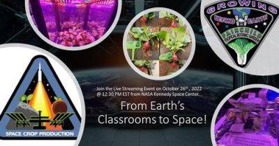 See Behind-the-Scenes at NASA’s Kennedy Space Center Plant Labs - theunconventionalgardener.com