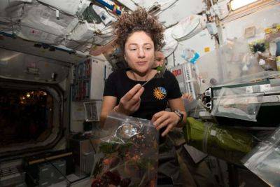 Researchers Are Working To Grow Fruits And Vegetables In Space￼ - theunconventionalgardener.com - state Florida