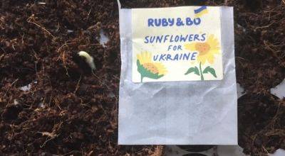 How to Grow a Low Carbon Garden - theunconventionalgardener.com - Russia