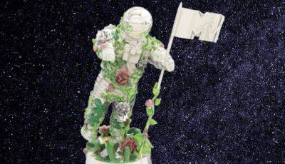 Space, Plants and Rock & Roll - theunconventionalgardener.com - Usa
