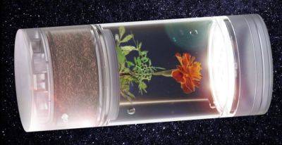 French astronaut will grow marigolds on the ISS - theunconventionalgardener.com - France