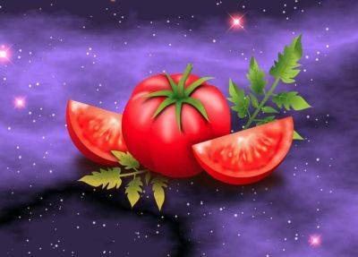 Top 5 small tomatoes for space gardeners - theunconventionalgardener.com - Russia - state Indiana