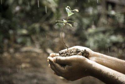 Here’s why soil smells so good after it rains - theunconventionalgardener.com - Britain - Greece - Sweden