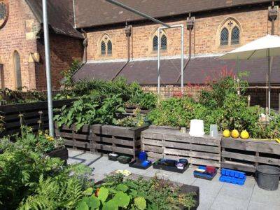 Biophilic urbanism: how rooftop gardening soothes souls - theunconventionalgardener.com - Australia