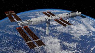 Rice is growing on the Chinese space station - theunconventionalgardener.com - China