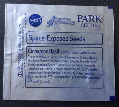 Space-flown basil and tomato seeds - theunconventionalgardener.com - Usa - city Columbia