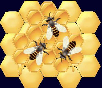 The Hive: no. 3 - theunconventionalgardener.com - Britain - Antarctica - state Indiana - county Day
