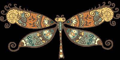 The elephant (hawk moth) in the garden - theunconventionalgardener.com