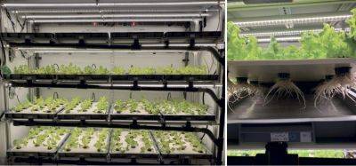 When will we grow lettuce on the Moon? - theunconventionalgardener.com - France