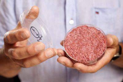 Cultured meat seems gross? It’s much better than animal agriculture - theunconventionalgardener.com