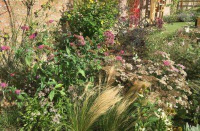 Virtual Visit: Howick Hall Gardens - theunconventionalgardener.com