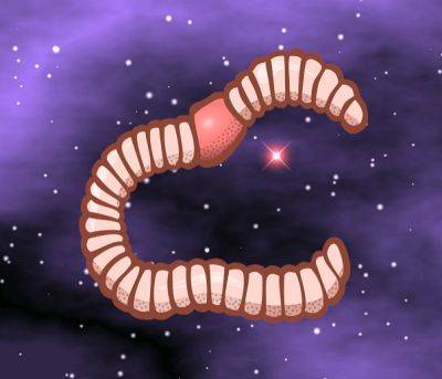 Space worms - theunconventionalgardener.com - city Columbia