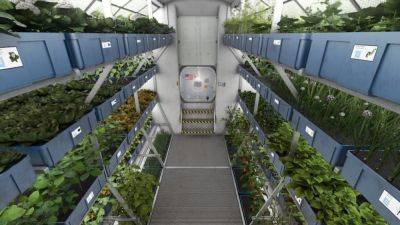 Interstellar greenhouses: how a single molecule could be key to growing plants in microgravity - theunconventionalgardener.com - Britain