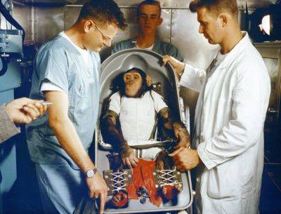 Apes, robots and men: the life and death of the first space chimp - theunconventionalgardener.com - Usa - France - state New Mexico