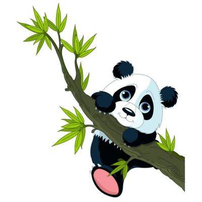 How pandas helped me appreciate brassicas - theunconventionalgardener.com - China