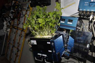 Astronauts Are Growing Plants and Vegetables in a Space Garden - theunconventionalgardener.com - Russia