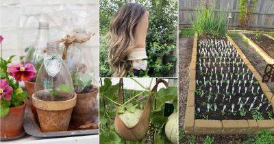 50 Unconventional Gardening Tricks to Become a Pro Gardener - balconygardenweb.com