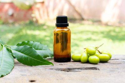 How To Use Neem Oil On Plants - southernliving.com - India - state Colorado