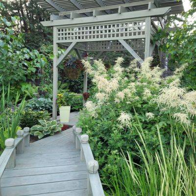 Keith’s Japanese-Inspired Garden - finegardening.com - Canada - Japan - state Virginia