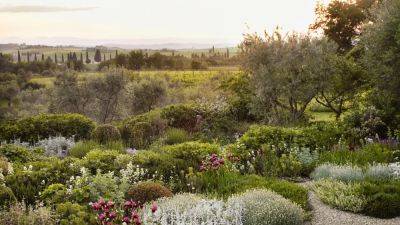 How to plant a Mediterranean garden | House & Garden - houseandgarden.co.uk - Britain - Spain - state Oregon